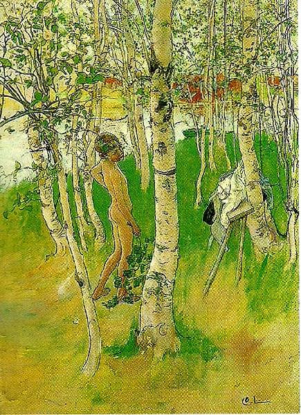 Carl Larsson ulf en naken pojke mellan bjorkstammar-ulf badar pa bullerholmen oil painting picture